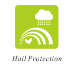 hail-protection proteção contra granizo
