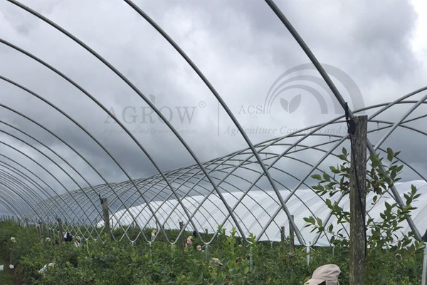 Sistema de compensação para proteção de pássaros em zonas frutíferas de vinhedos