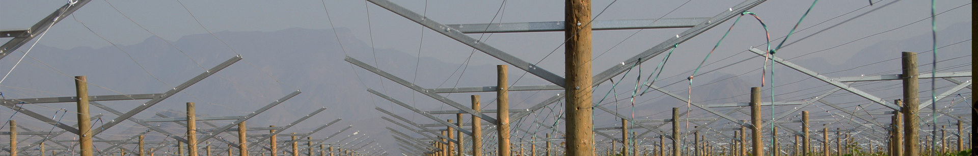 Agrow Vineyard and Orchard Trellis Supplies(OVS)