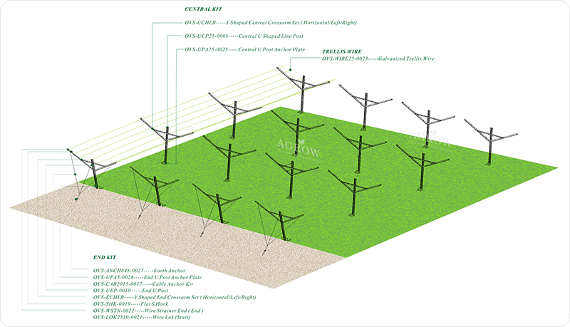 Sistema de treli&ccedil;a de treli&ccedil;a aberta de vinhedo -AGROW-AGTEK.jpg