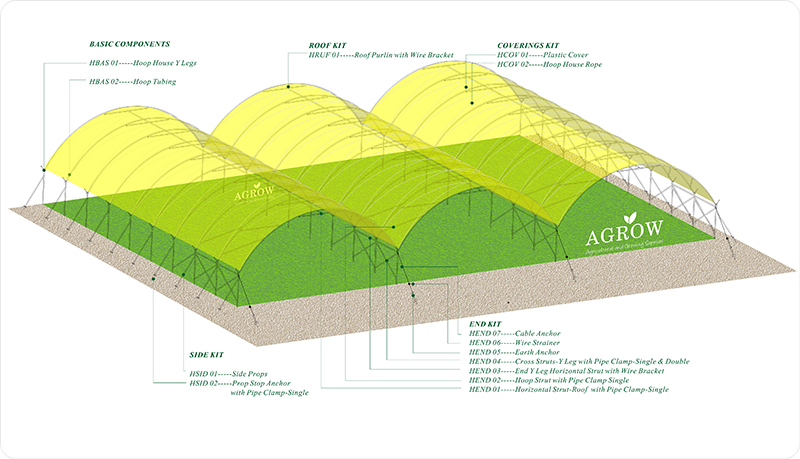 Agtek Padr&atilde;o Multi-bay Hoop House Design.jpg