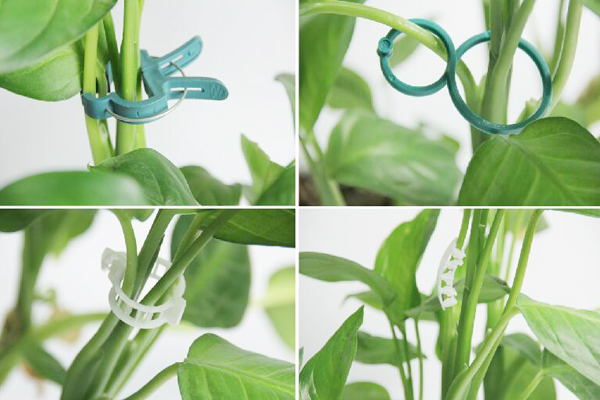 Tomate Grafting Clips.jpg