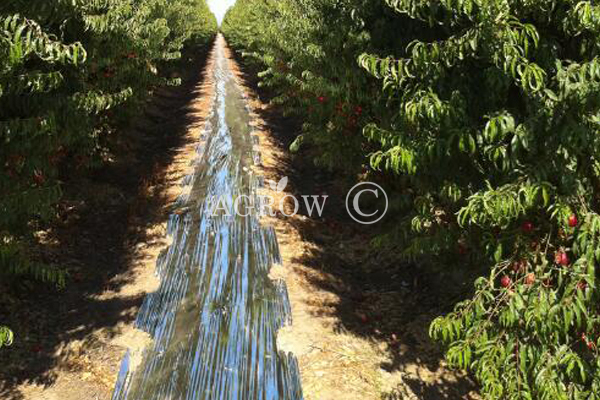 Filme refletivo solar para frutas