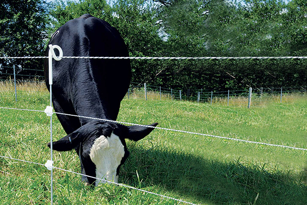 poste de cerca de rabo de gado.jpg